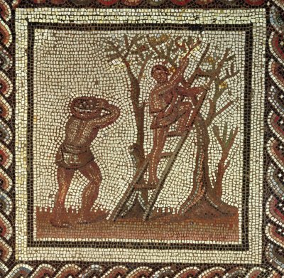 Früchte pflücken, römisches Mosaik aus Saint-Romain-en-Gal, Frankreich, 200-225 n. Chr. von Roman